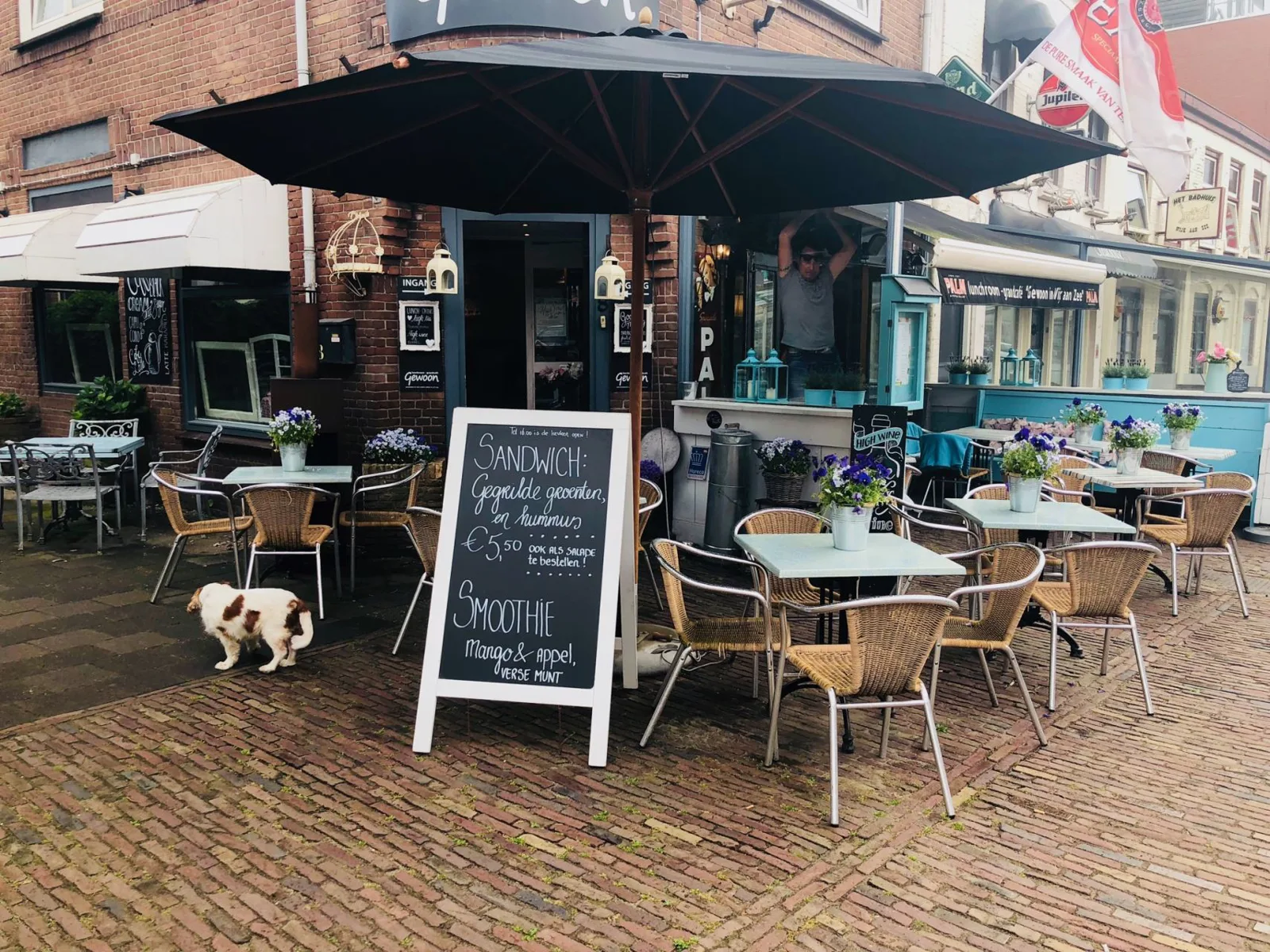 Gewoon in Wijk aan Zee